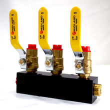 Fuel & Water Manifold - 3-Valve